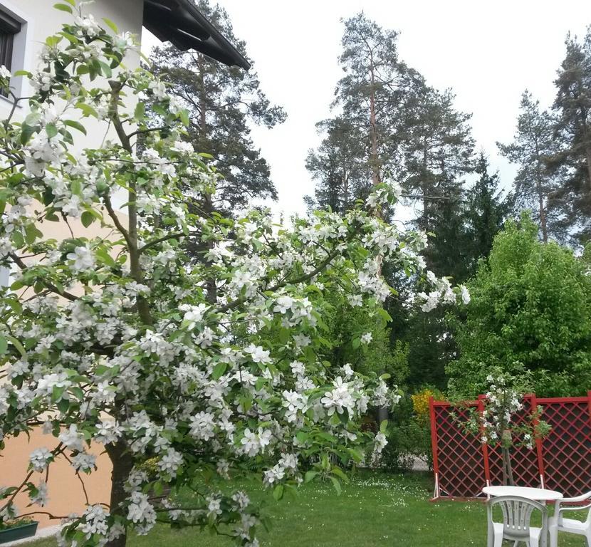 Ferienwohnung Kerth Sankt Kanzian am Klopeiner See Esterno foto